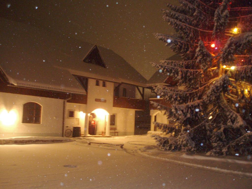Вилла Farm Kosir Краньска Гора Экстерьер фото
